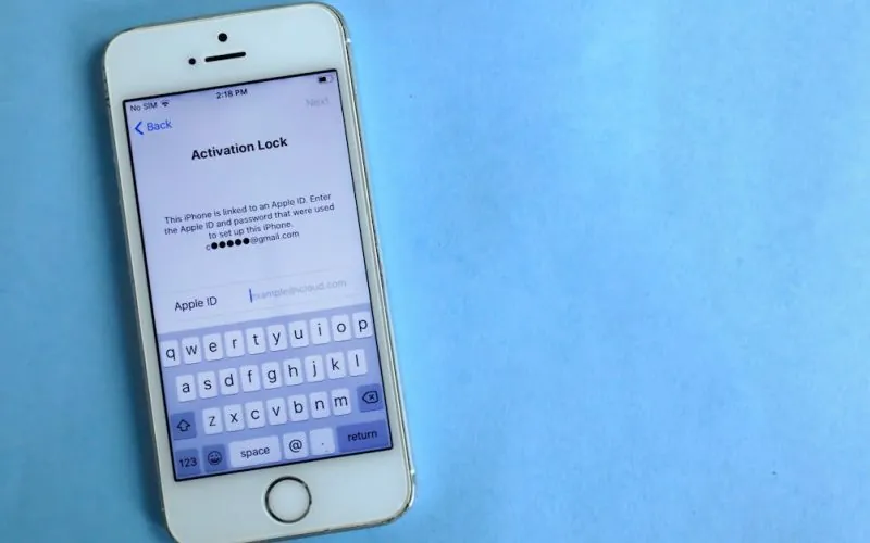 image_6820a12d9a62f1.09020036-1